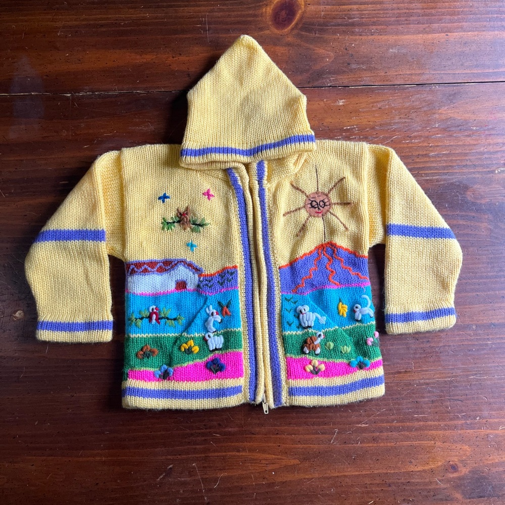 100% Wool Colorful Embroidered Hooded Cardigan
